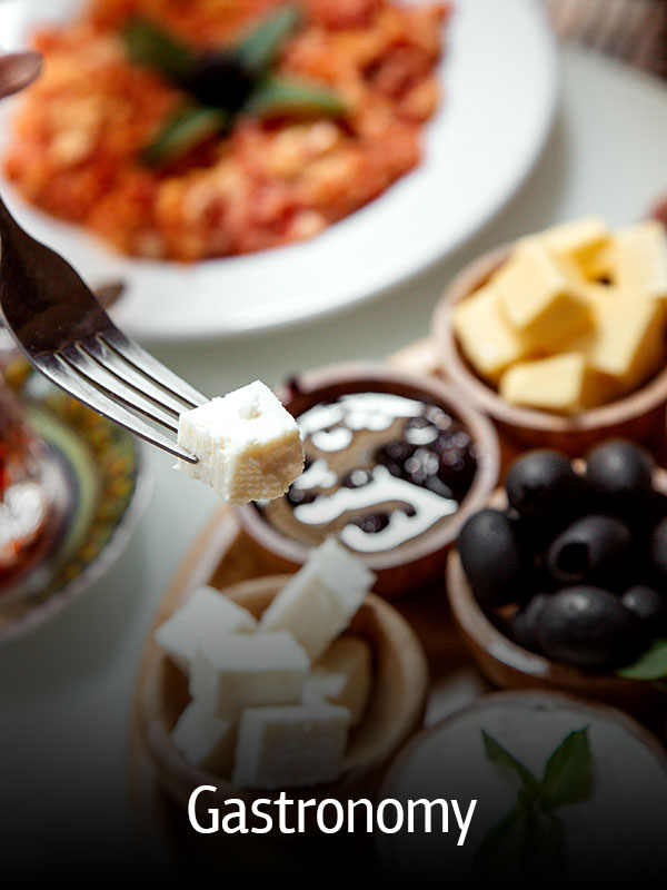 Gastronomy