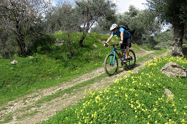 Hiking & Biking