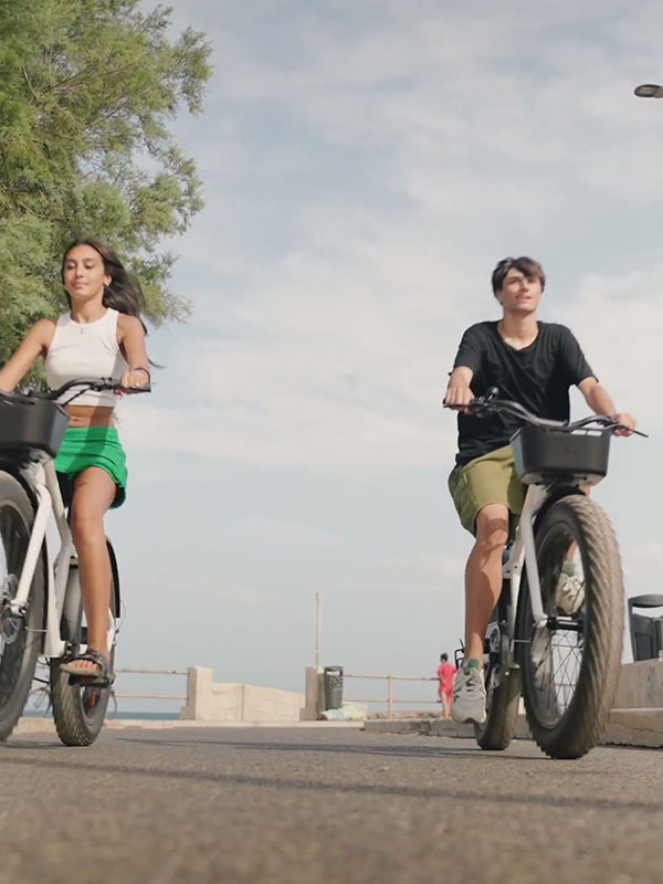 Sustainable Micromobility