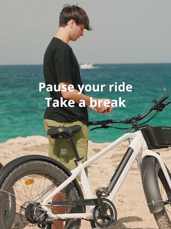 Sustainable Micromobility